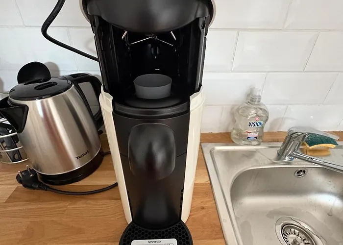 Charles De Gaulle Lll - Independent Garden