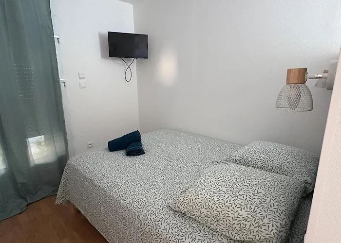 Apartment Charles De Gaulle Lll - Independent Garden Castres (Tarn)